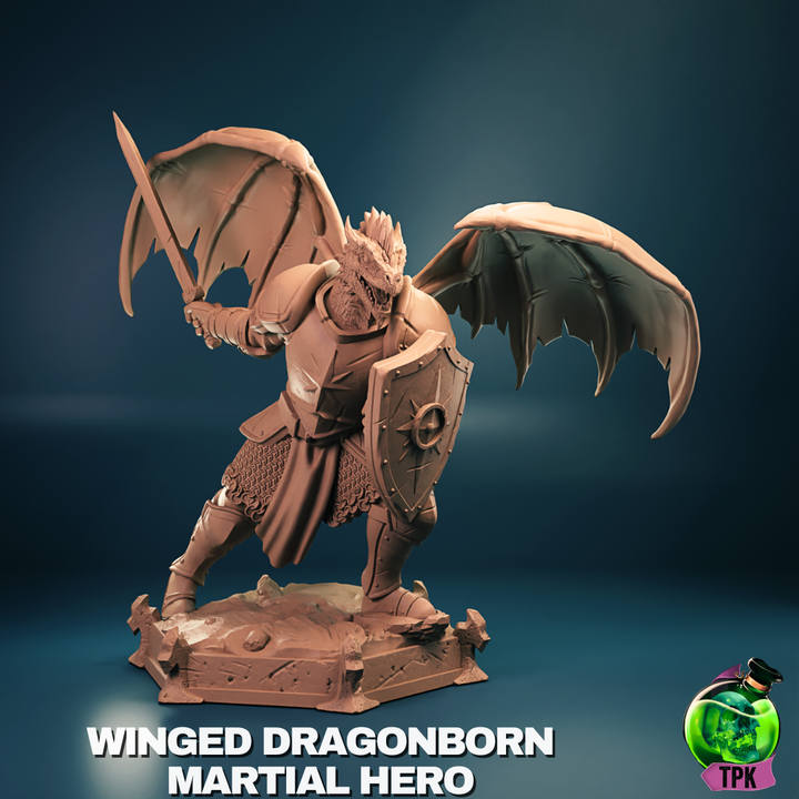 Winged Dragonborn Male Hero Miniature and Bust